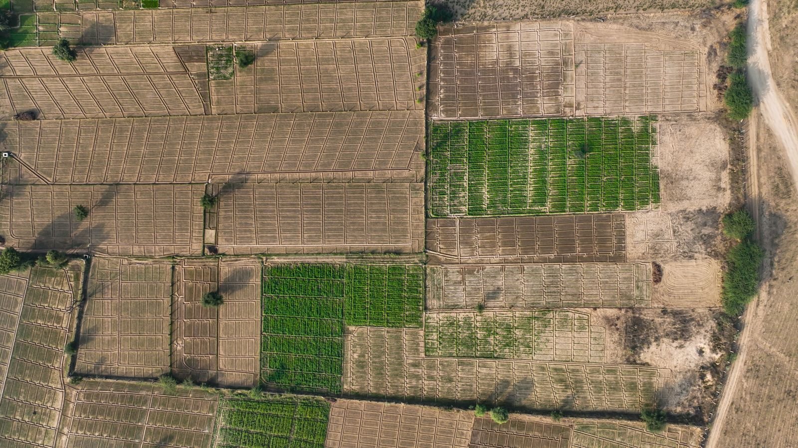 Aerial view of subdivided farmland plots